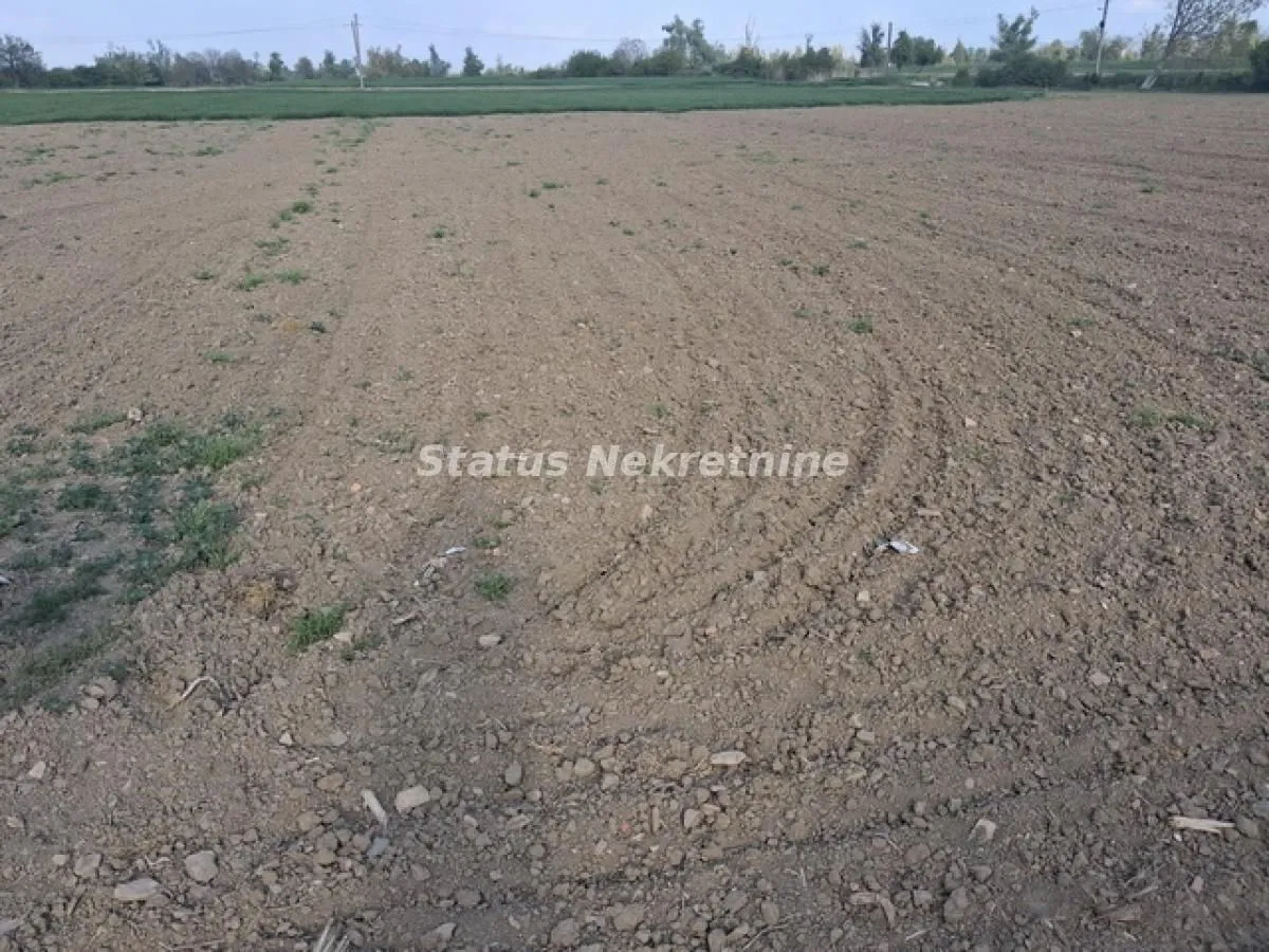 Prodaja, plac, 720m², Begeč, Novi Sad Sve Podlokacije