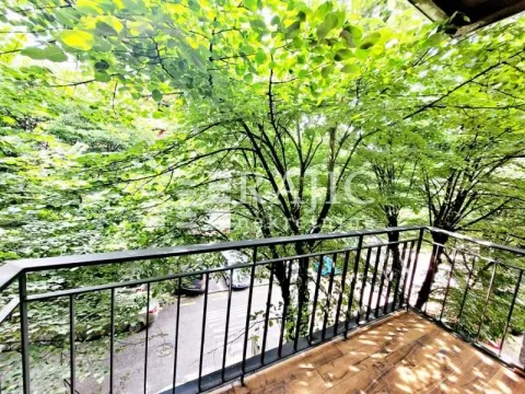 View from the terrace towards green tree crowns. - image 20