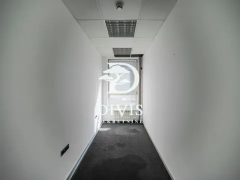 Rent, office space, 216m², Zemun Gornji Grad, Zemun Sve Podlokacije - image 17