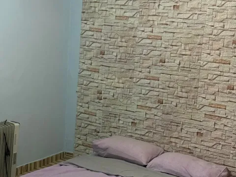 Izdavanje, kuća, 100m², Ostalo, Podgorica - image 15