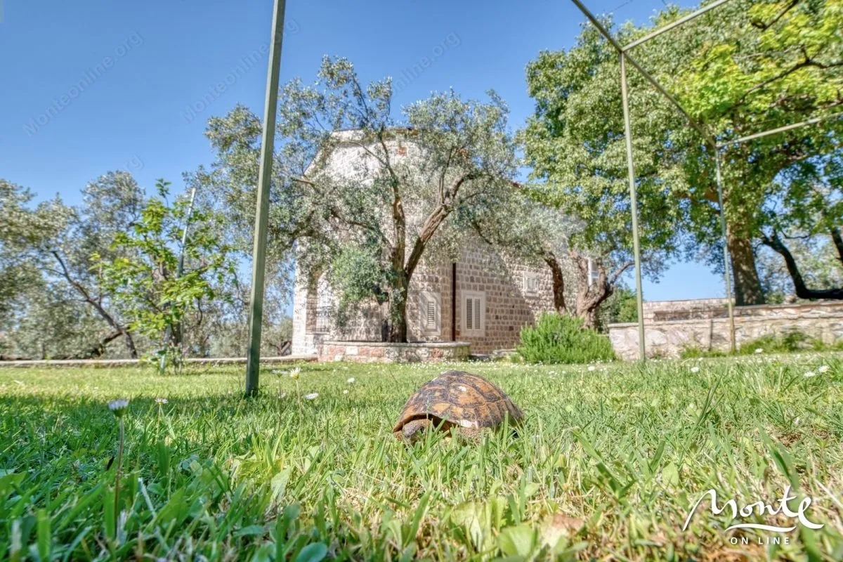 Sale, house, 480m², Reževići, Budva