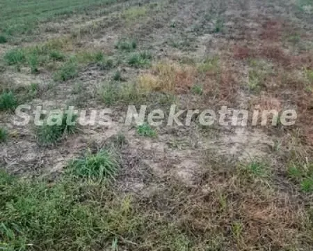 Prodaja, plac, 686m², Futog, Novi Sad Sve Podlokacije - image 8