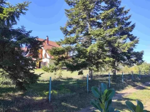 Prodaja, kuća, 220m², Voždovac Sve Podlokacije, Beograd - image 11