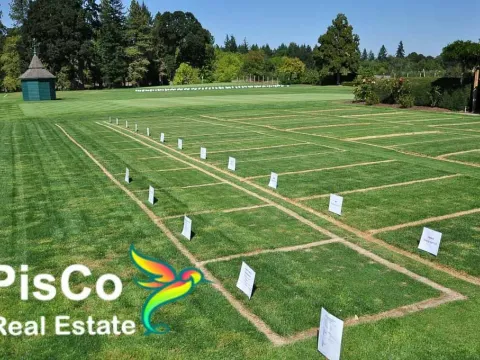 Prodaja, plac, 2556m², Tološi, Podgorica - image 2