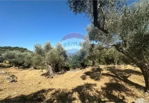 Sale, land lot, 1546m², Bartula, Bar - image 7