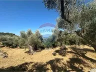 Sale, land lot, 1546m², Bartula, Bar - image 7