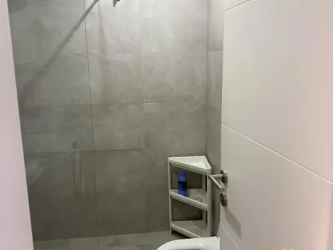 Izdavanje, dvosoban stan, 47m², Južni Bulevar, Vračar Sve Podlokacije - image 11