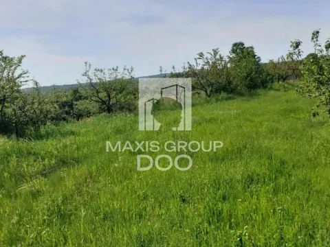 Prodaja, plac, 64800m², Kosmaj, Sopot - image 8