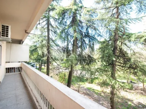 Izdavanje, dvosoban stan, 68m², Gintaš, Podgorica - image 6