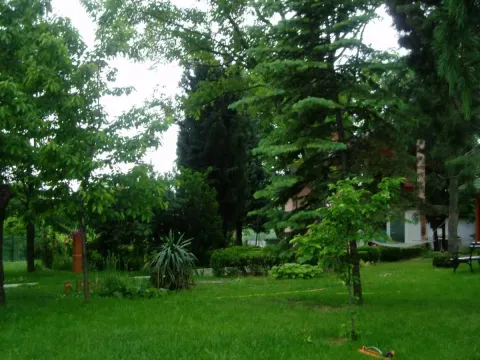 Prodaja, kuća, 360m², Irig, Srbija - image 31