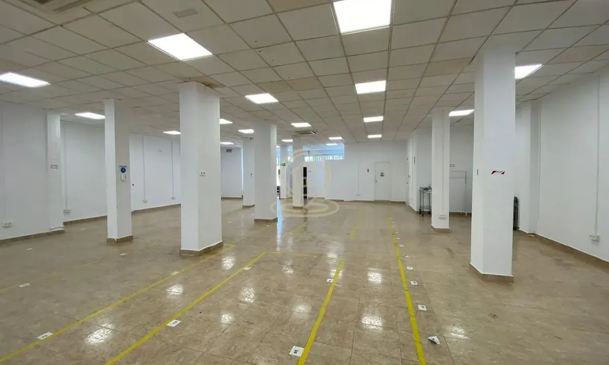 Rent, office space, 130m², Centar, Novi Sad