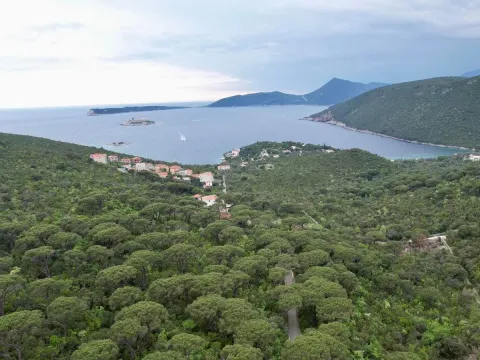 Sale, land lot, 5218m², Herceg Novi, Crna Gora - image 15