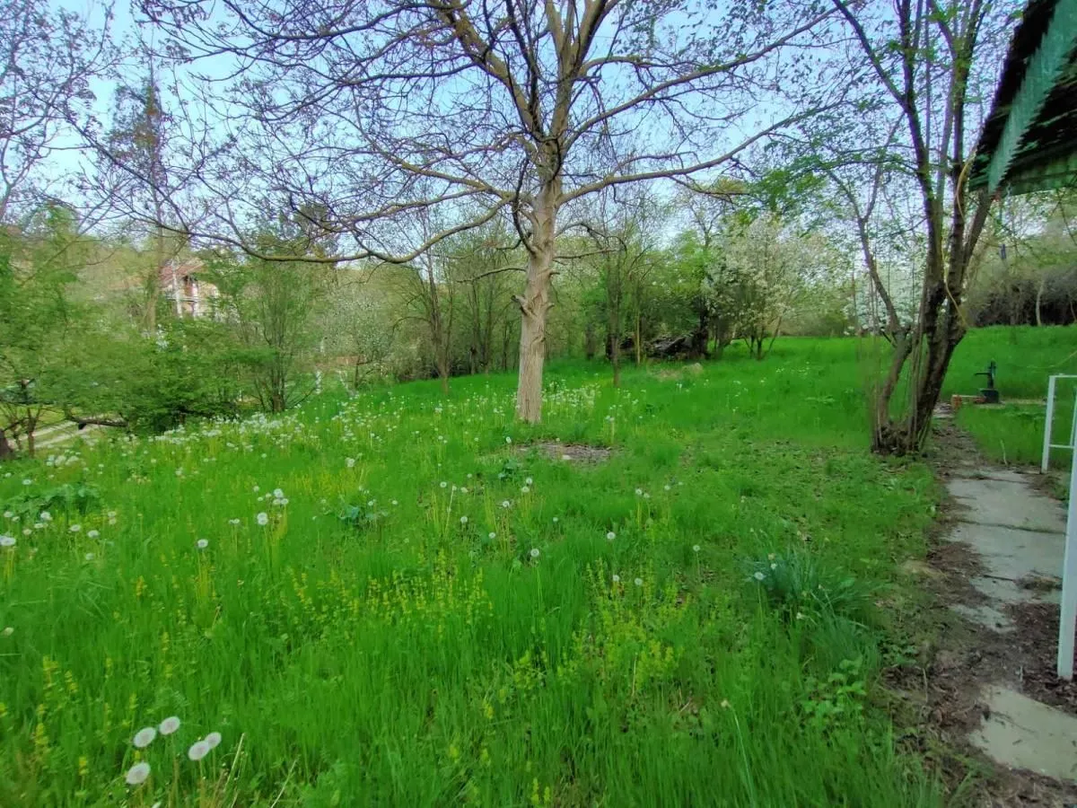 Prodaja, kuća, 37m², Čerević, Beočin
