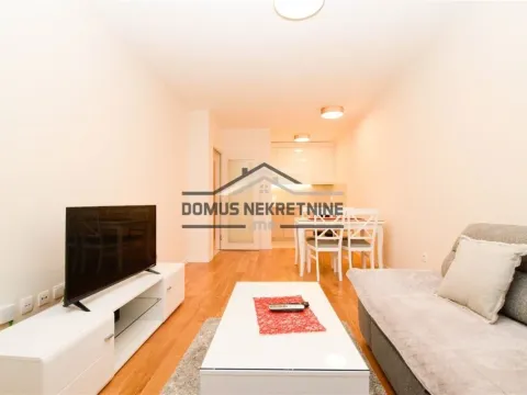 Rent, one bedroom apartment, 49m², Central Point, Podgorica - image 3