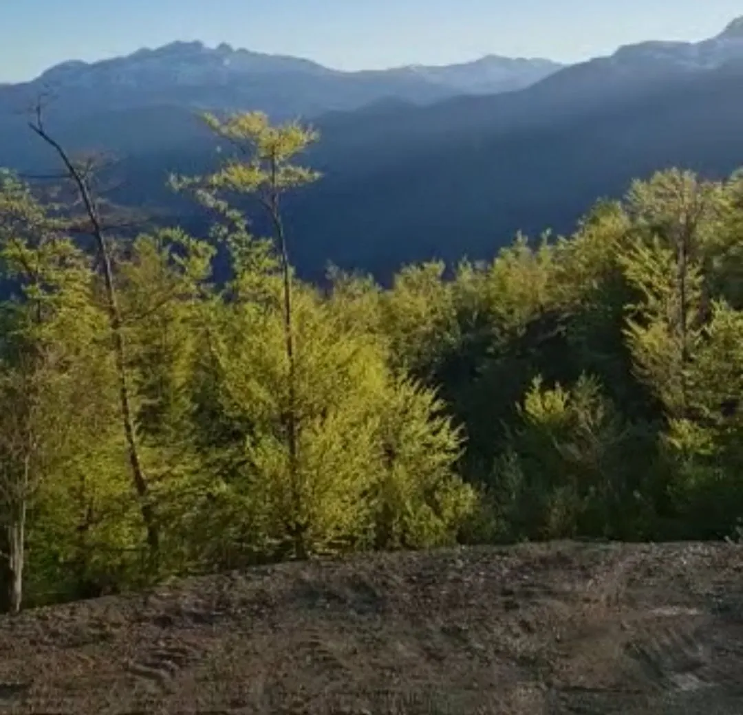 Prodaja, plac, 22000m², Kolašin, Crna Gora