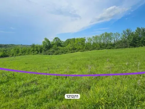 Sale, land lot, 6574m², Stepojevac, Lazarevac - image 6