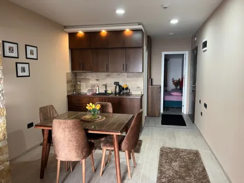 Prodaja, jednosoban stan, 36m², Kraljevi Čardaci, Kopaonik - image 4