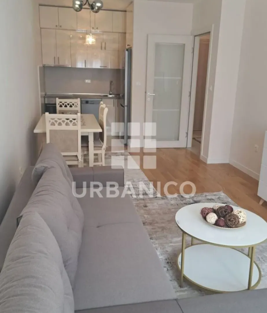 Rent, one bedroom apartment, 46m², Central Point, Podgorica