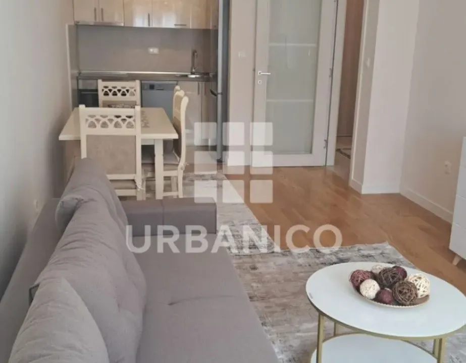 Izdavanje, jednosoban stan, 46m², Central Point, Podgorica