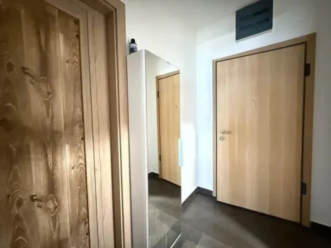 Izdavanje, jednosoban stan, 51m², Master Kvart, Podgorica - image 12