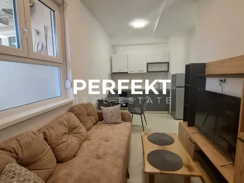 Izdavanje, jednosoban stan, 40m², Centar, Pančevo - image 7