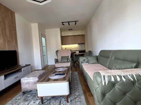 Rent, one bedroom apartment, 49m², Central Point, Podgorica - image 1