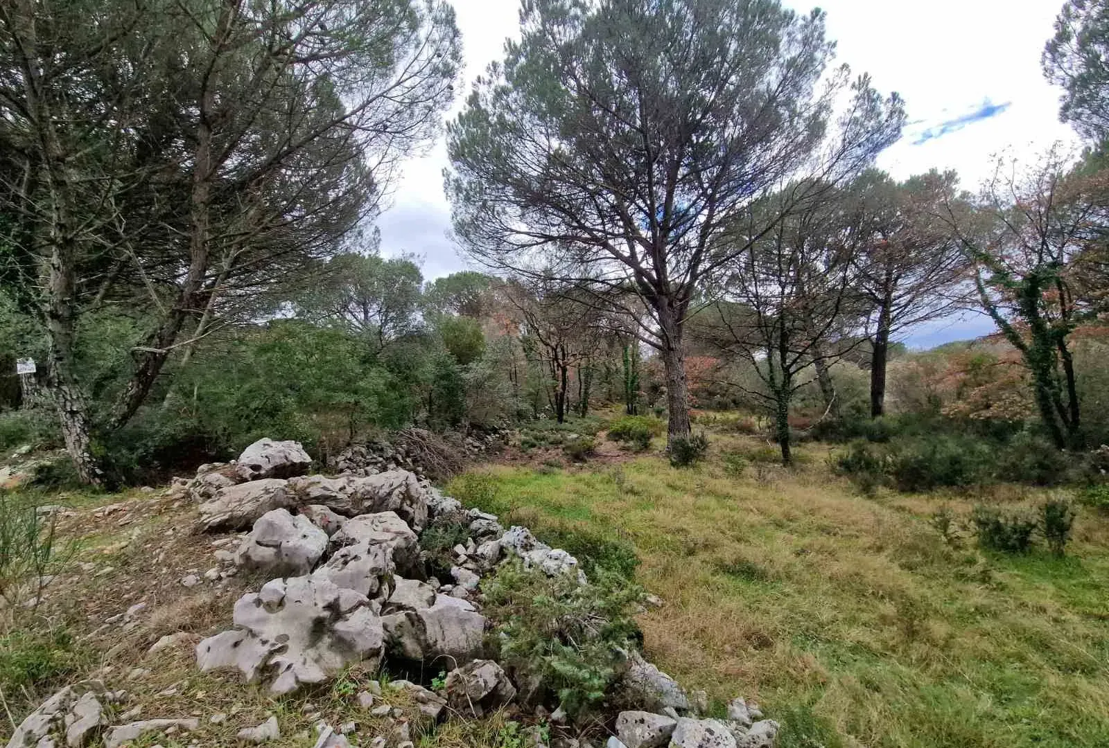Prodaja, plac, 1150m², Zagora, Kotor