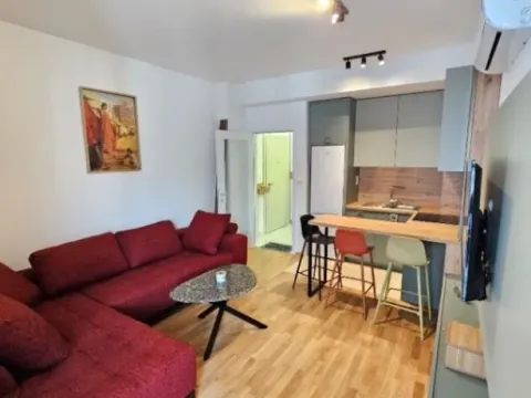 Izdavanje, jednosoban stan, 45m², Zabjelo, Podgorica - image 7