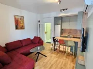 Izdavanje, jednosoban stan, 45m², Zabjelo, Podgorica - image 7