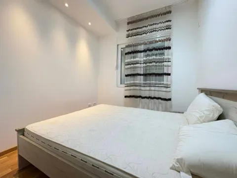 Izdavanje, jednosoban stan, 45m², Ljubović, Podgorica - image 5