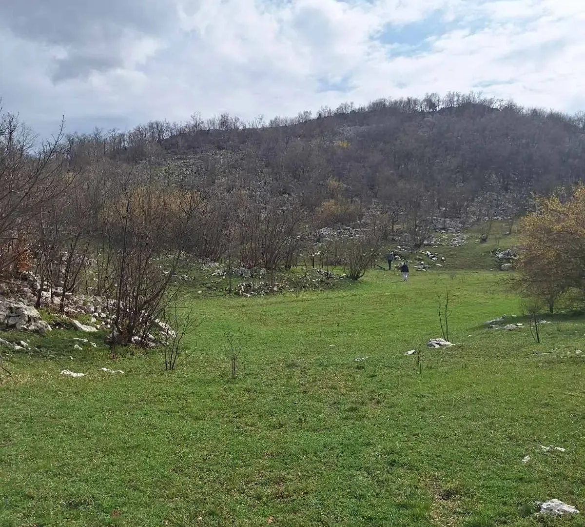 Prodaja, plac, 17000m², Podgorica, Crna Gora