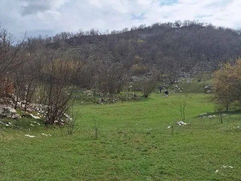 Prodaja, plac, 17000m², Podgorica, Crna Gora - image 2