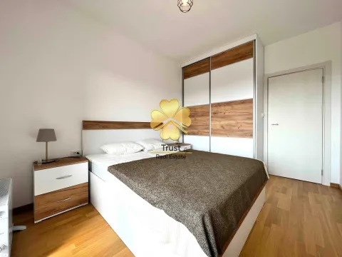 Izdavanje, jednosoban stan, 48m², Stari Aerodrom, Podgorica - image 6