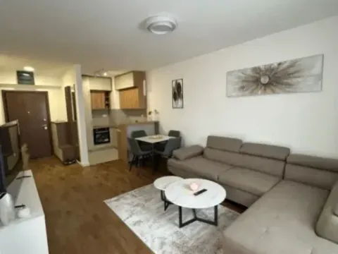 Izdavanje, jednosoban stan, 47m², Stari Aerodrom, Podgorica - image 2