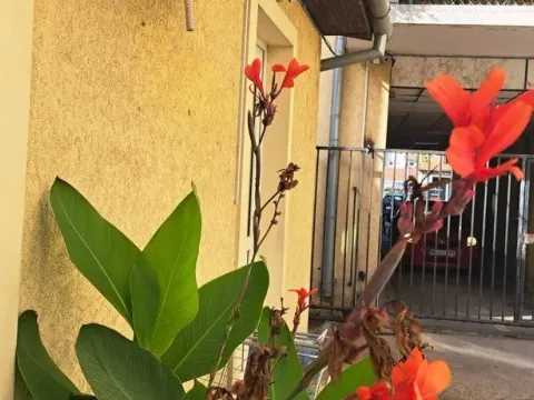 Prodaja, trosoban stan, 91m², Novi Sad, Srbija - image 2