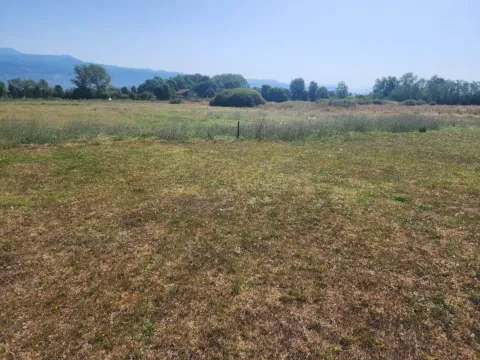 Zemljište in Grlić
