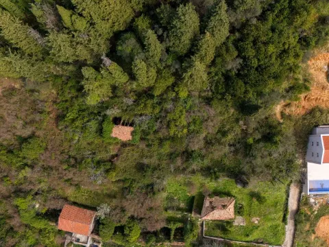 Prodaja, plac, 1954m², Donja Lastva, Tivat - image 8