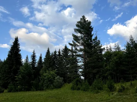 Prodaja, plac, 1550m², Podgora, Žabljak - image 2