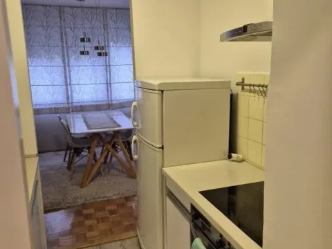 Izdavanje, dvosoban stan, 50m², Novi Beograd Blok 22, Novi Beograd Sve Podlokacije - image 5