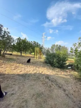 Zeleni plac sa drvećem i električnim stubom. - image 10