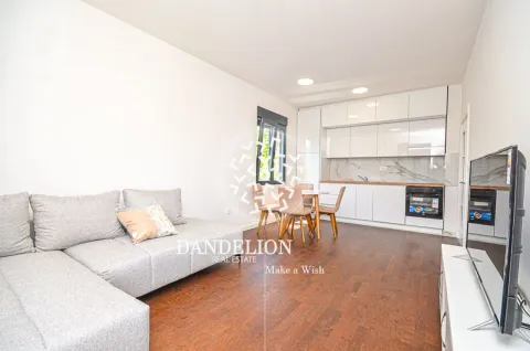 Rent, one bedroom apartment, 59m², Central Point, Podgorica - image 1044