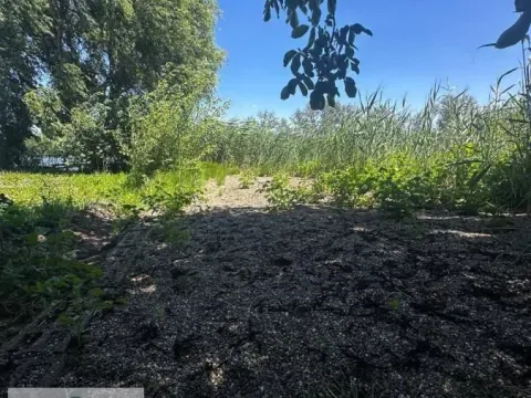 Prodaja, kuća, 40m², Bečej, Novi Sad - image 18