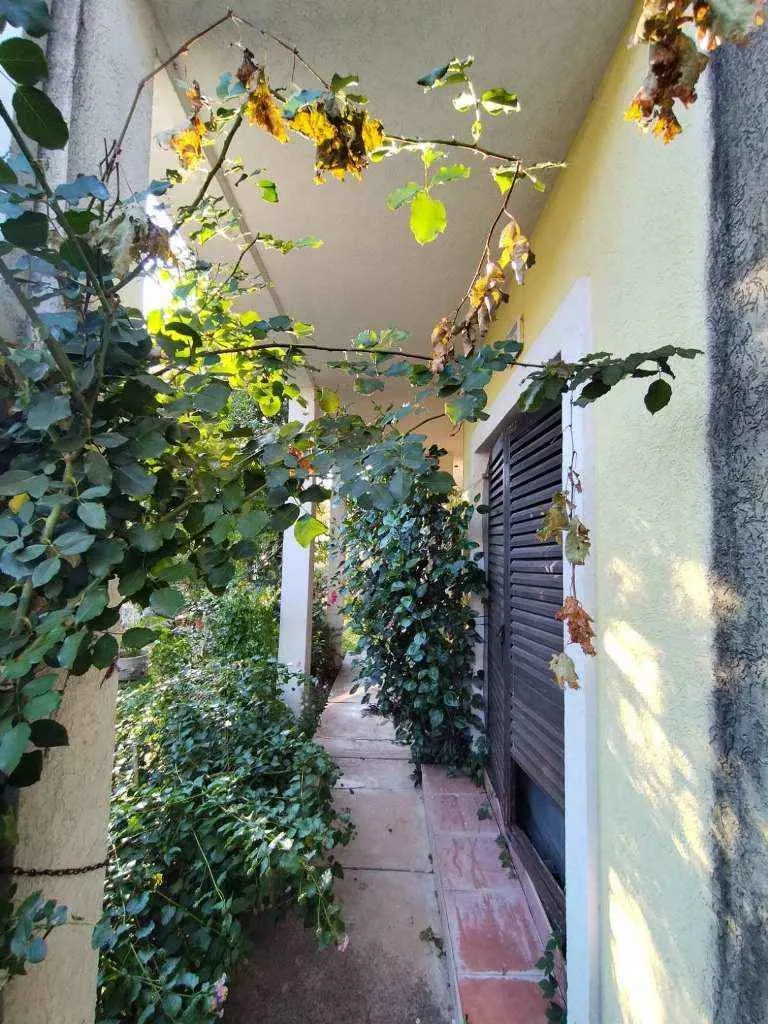Popločana staza pored kuće okružena zelenilom.