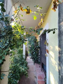 Popločana staza pored kuće okružena zelenilom. - image 3