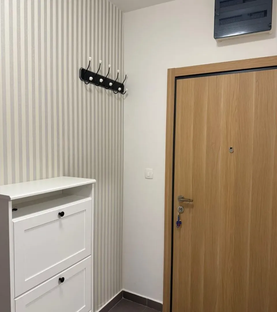 Rent, one bedroom apartment, 50m², Master Kvart, Podgorica