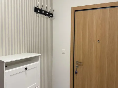 Izdavanje, jednosoban stan, 50m², Master Kvart, Podgorica - image 9