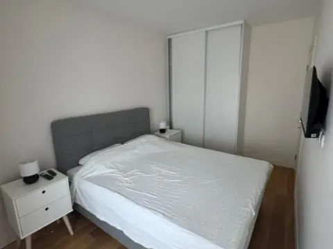 Izdavanje, jednosoban stan, 40m², Central Point, Podgorica - image 8