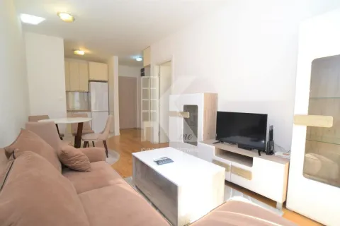 Rent, one bedroom apartment, 40m², Central Point, Podgorica - image 2