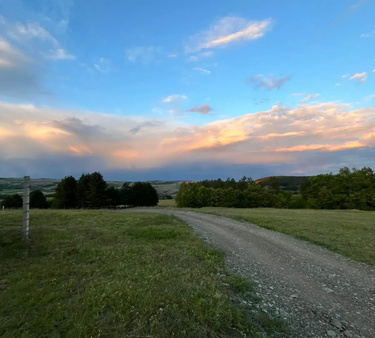 Prodaja, plac, 7500m², Tometino Polje, Požega