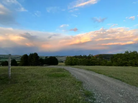 Prodaja, plac, 7500m², Tometino Polje, Požega - image 5